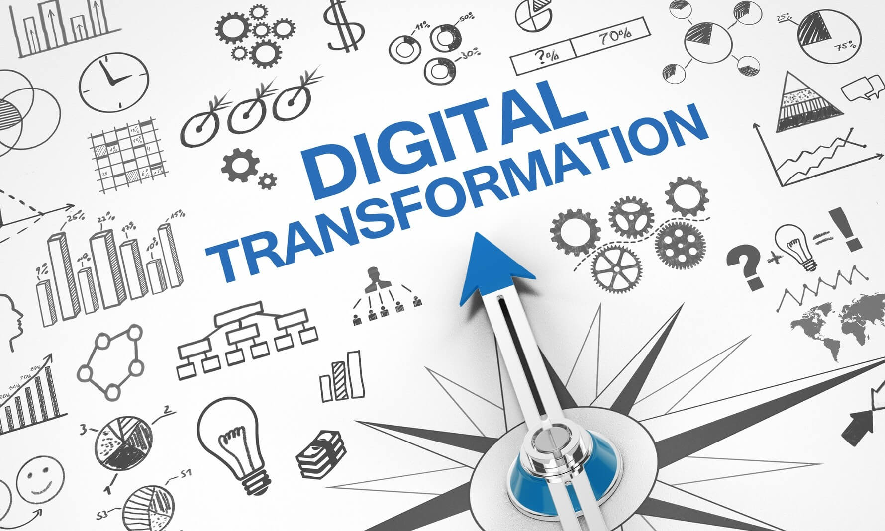 8.Management de la transformation digitale